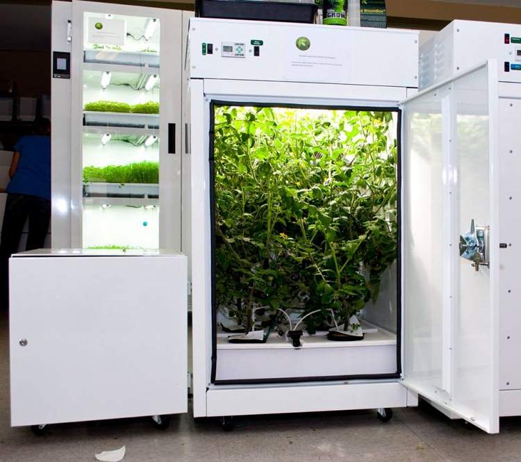 Bc Northern Lights Surrey Vancouver Hydroponic Systems