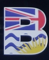 B CONNECTED ELECTRICAL INC. logo