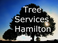 Tree Services Hamilton logo