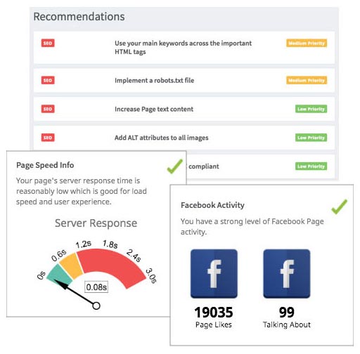 Image of webpage audit results