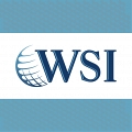 WSI eStrategies logo