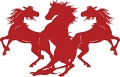 Crazy Horse 3 Gentlemen's Club logo