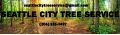 Seattle City Tree Service logo